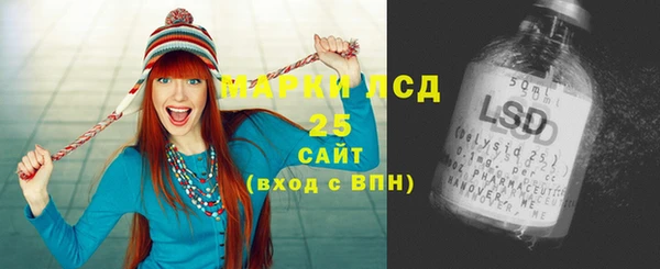 индика Арсеньев