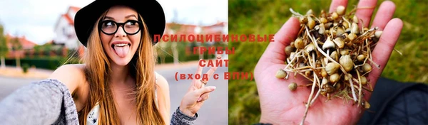 индика Арсеньев