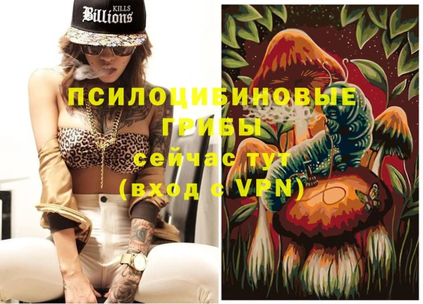 мет Балахна