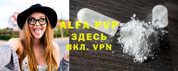 индика Арсеньев