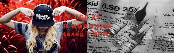 индика Балабаново